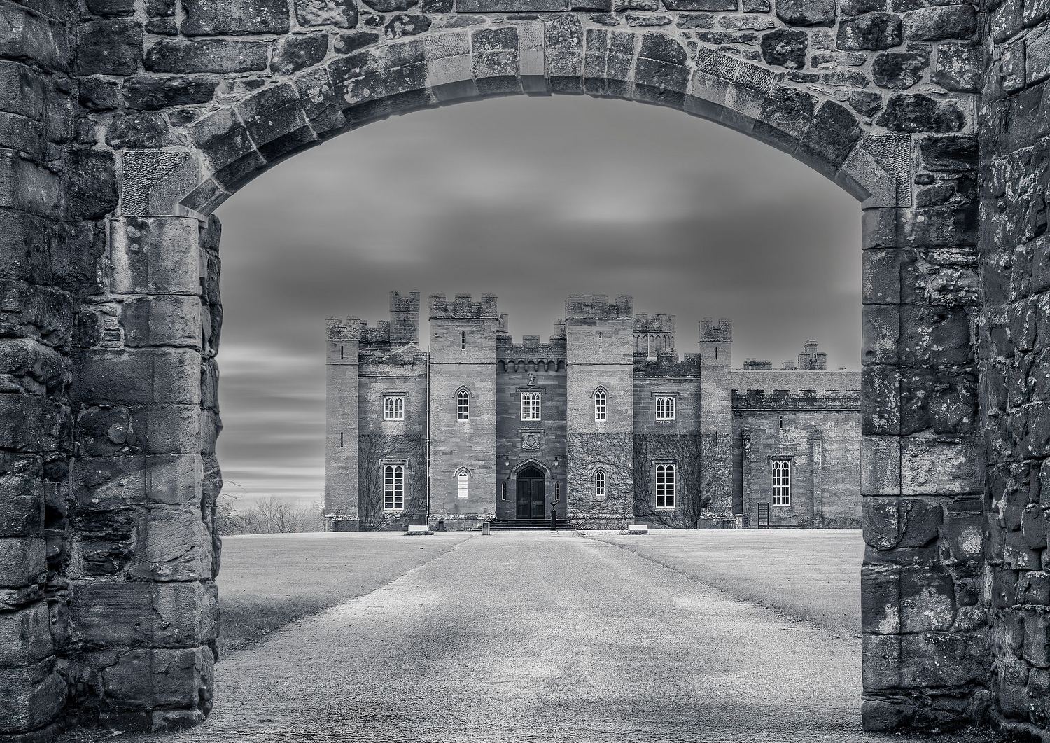 John Davie Photography