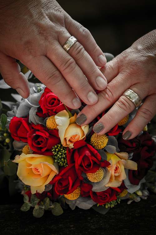 Hände des Brautpaars mit Eheringen über roten und orangefarbenen Rosen