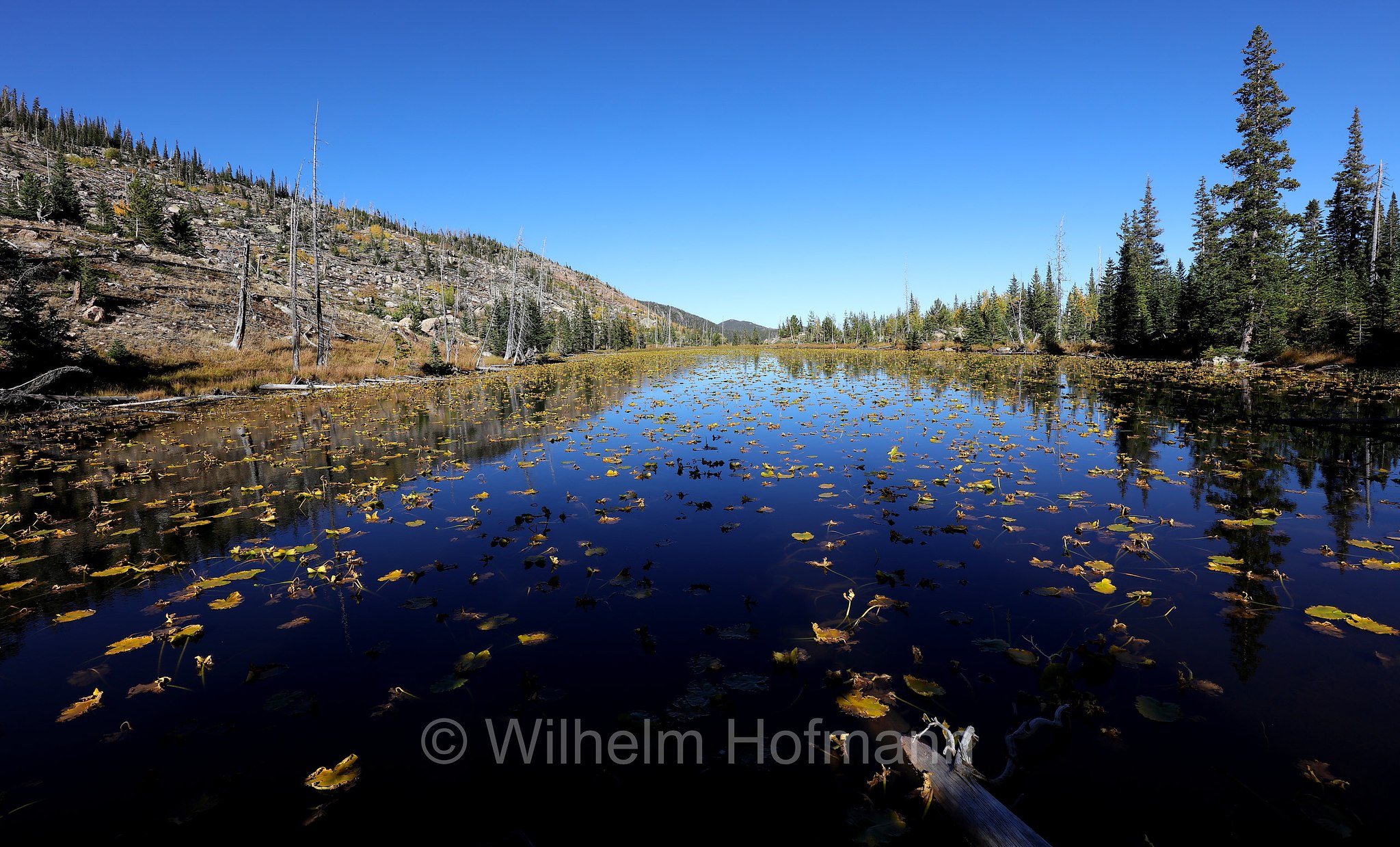 Chickadee Pond, Rocky Mountain National Park, Rocky-Mountain-Nationalpark, parco nazionale delle Montagne Rocciose, Colorado, USA