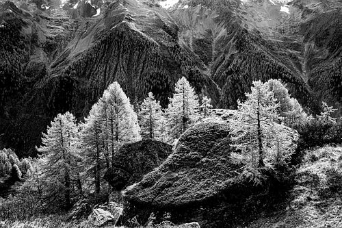Im Lötschental