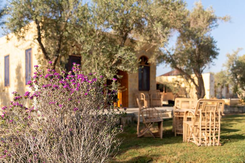 Maison Haya