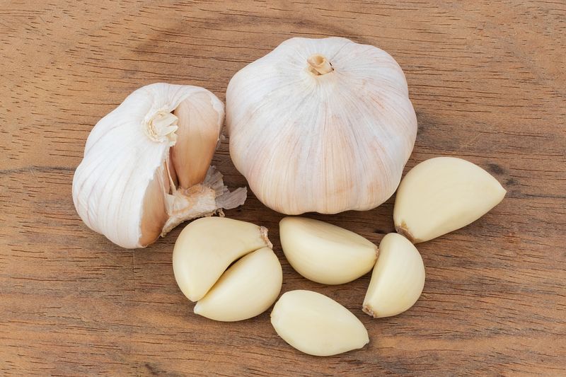 Garlic