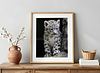 Snow Leopard Cub Print