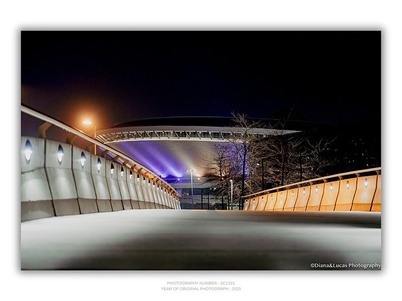 COLLECTION - URBAN GEOMETRY HORIZONTAL - "Arena at Night" - LIMITED EDITION 10 of 10