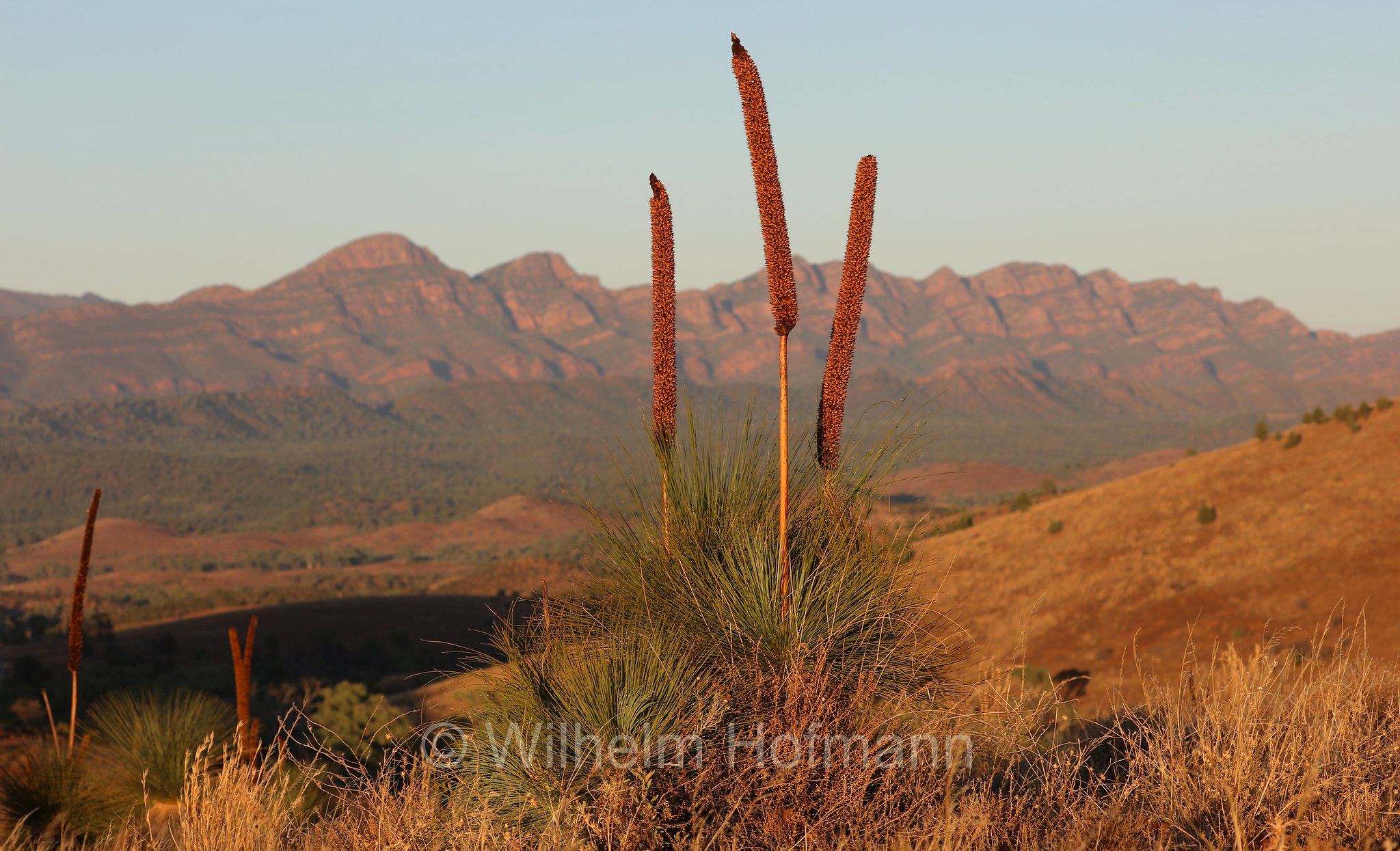Hucks Lookout, Ikara–Flinders Ranges National Park, Ikara-Flinderskette-Nationalpark, parco nazionale Monti Flinders, South Australia, Südaustralien, Australia Meridionale, Australia, Australien