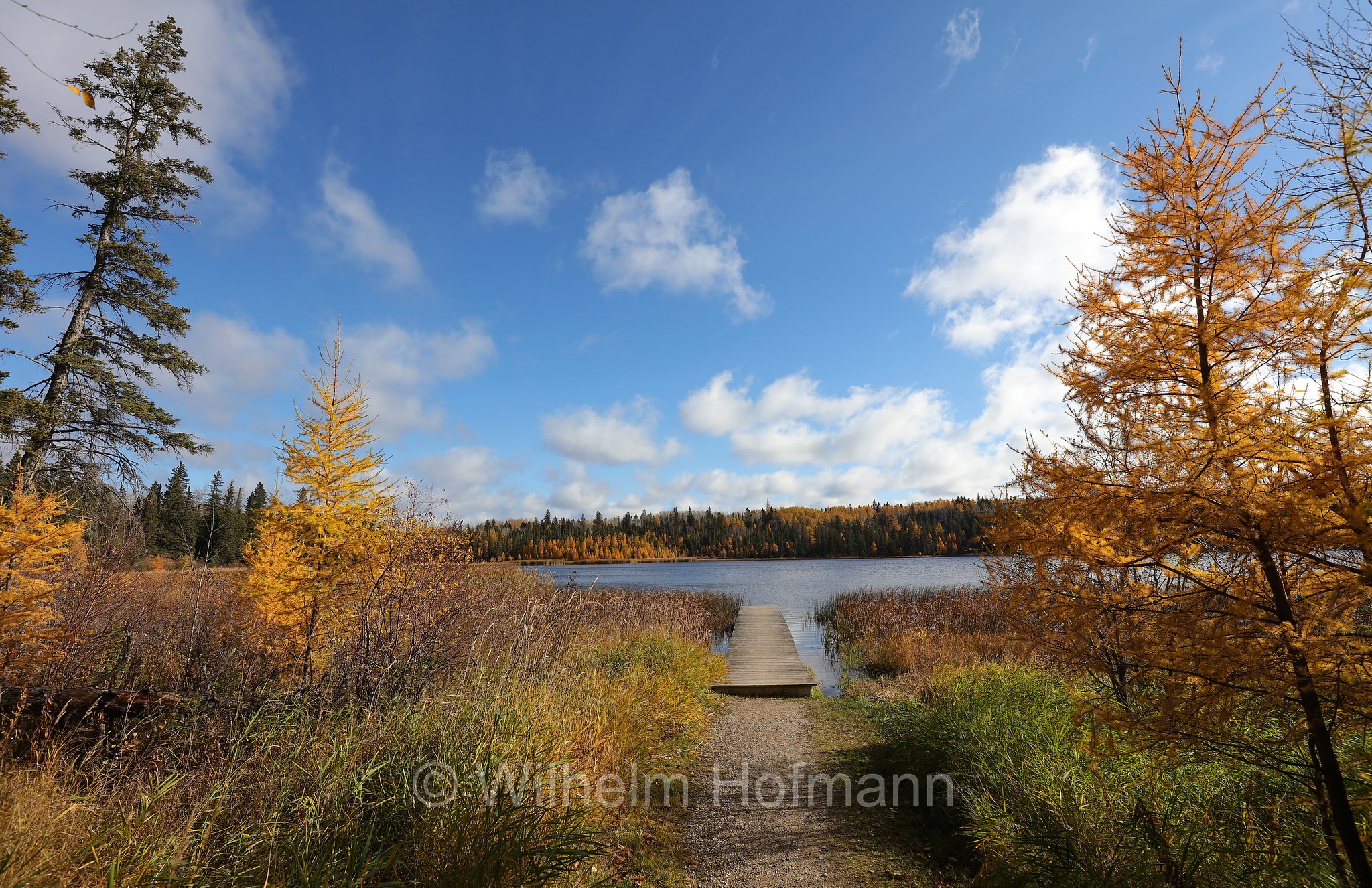 Grayling Lake, Riding Mountain National Park, Riding-Mountain-Nationalpark, Parco nazionale di Riding Mountain, Manitoba, Canada, Kanada