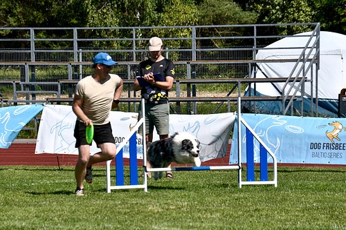 koerte frisbi voistlus 2026