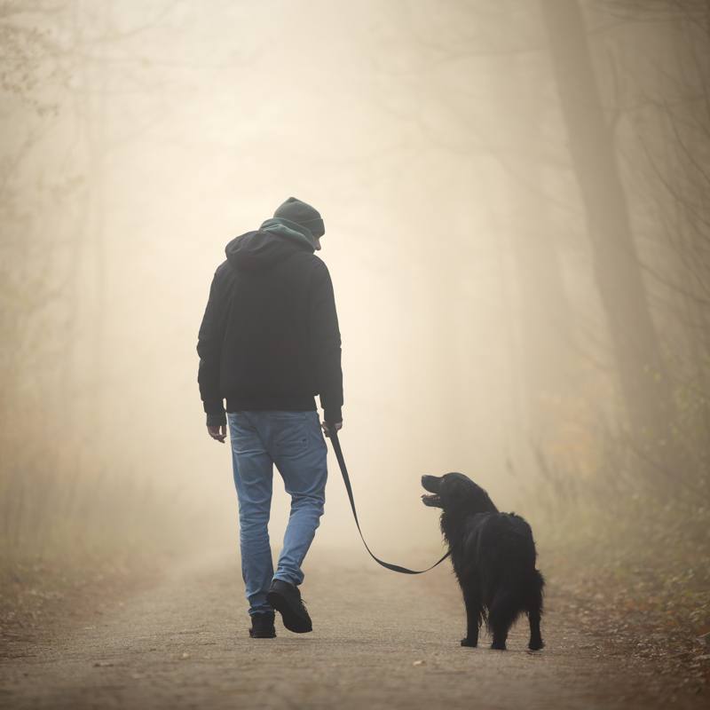 3 dingen die ik heb geleerd van het hebben van een angstige, reactieve hond