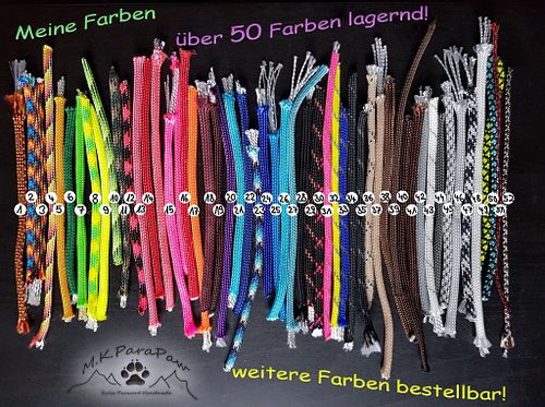 Welche ist DEIN Star?