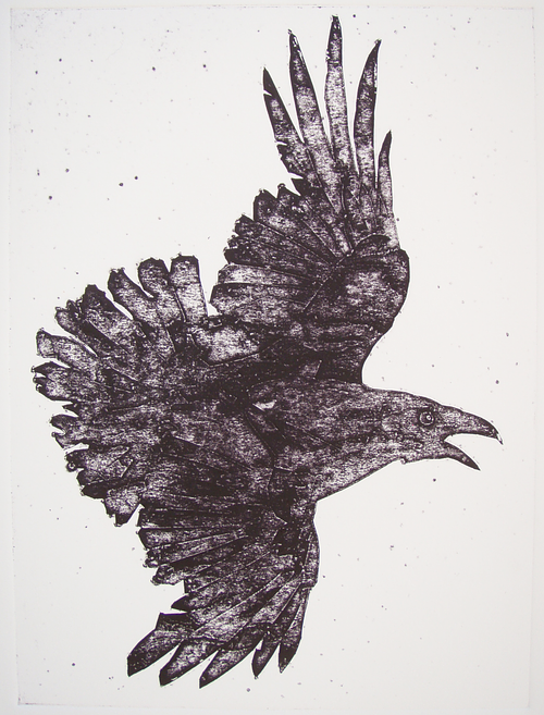 Ravn XXXII