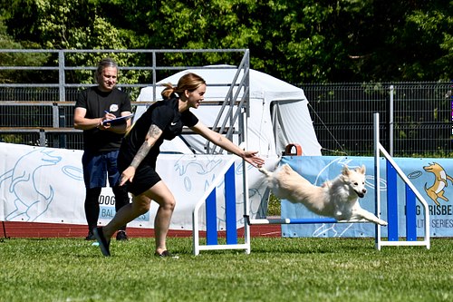 koerte frisbi voistlus 2026