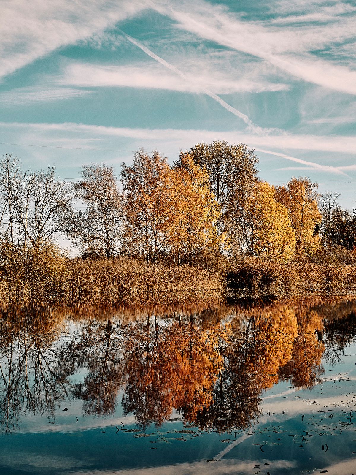 Heurüti Weiher im Herbst