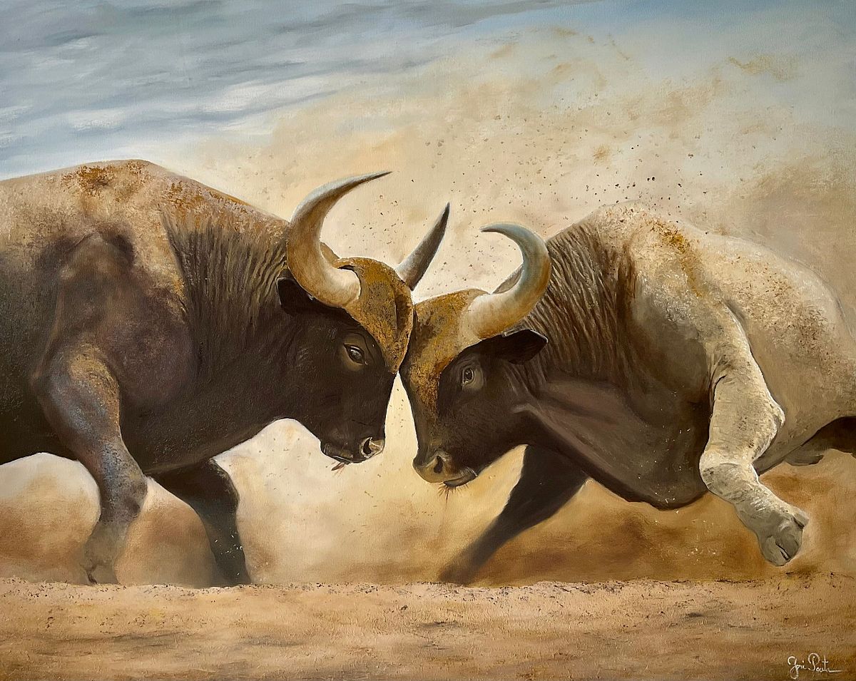 Bull Dust