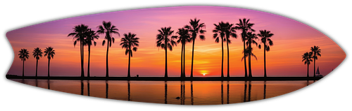 Ember Palms