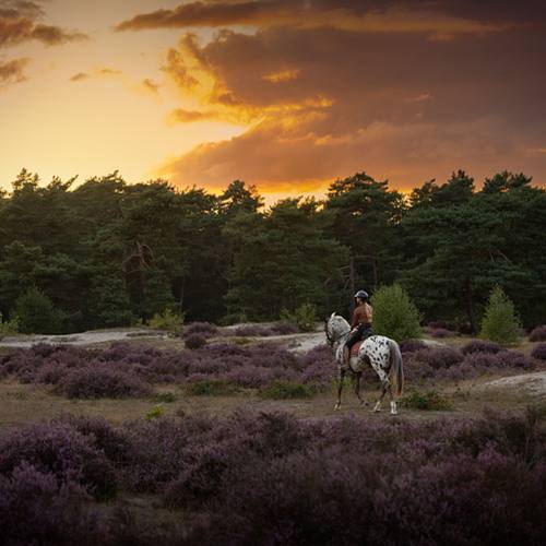 NATUUR
