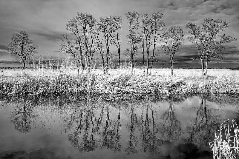 Neusiedler See