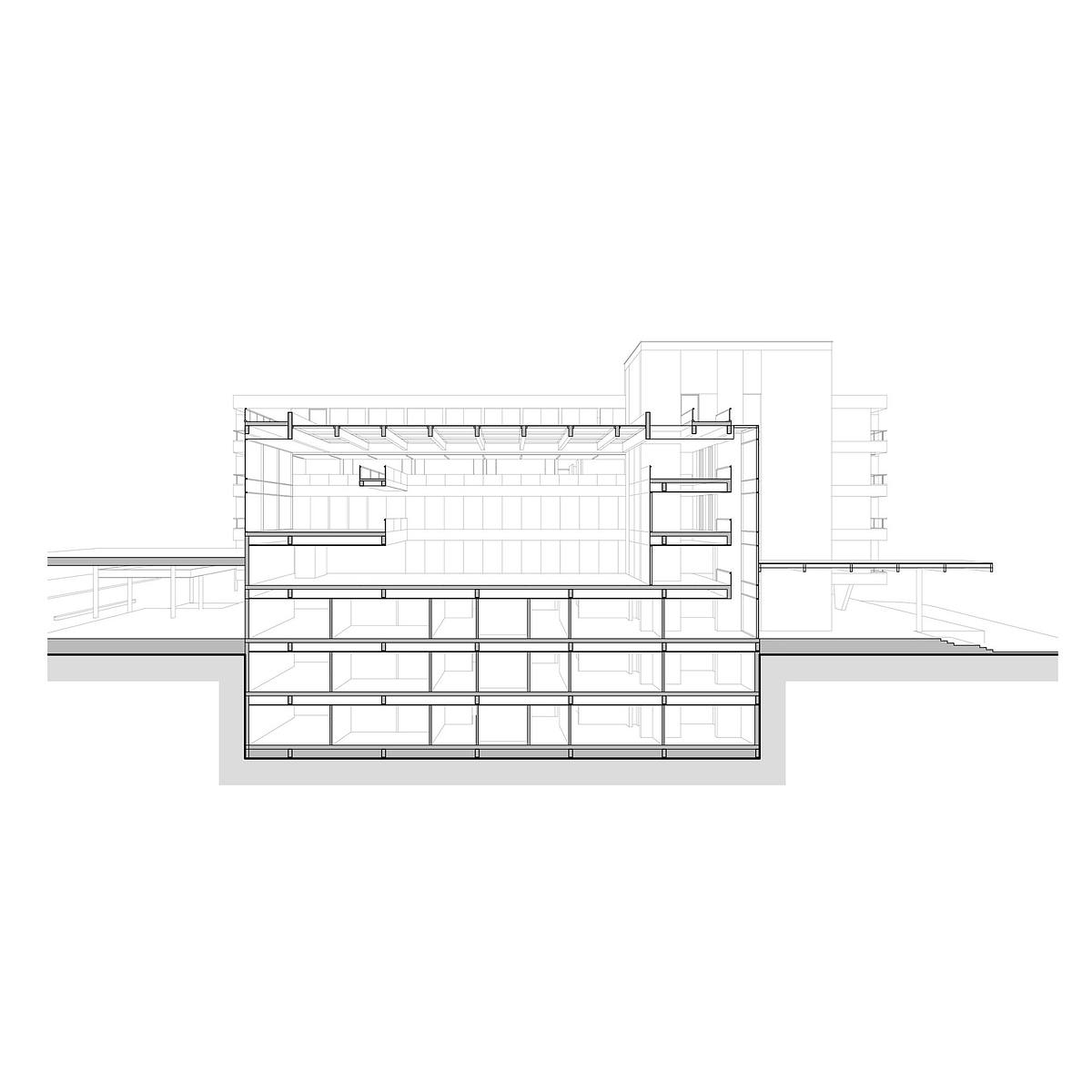 corte fugado hospital seccion perspectiva arquitectura sanitaria