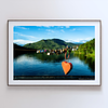 THE ONE - WILDLIFE & NATURE - "Love and the Lake" - LIMITED EDITION 5 of 5