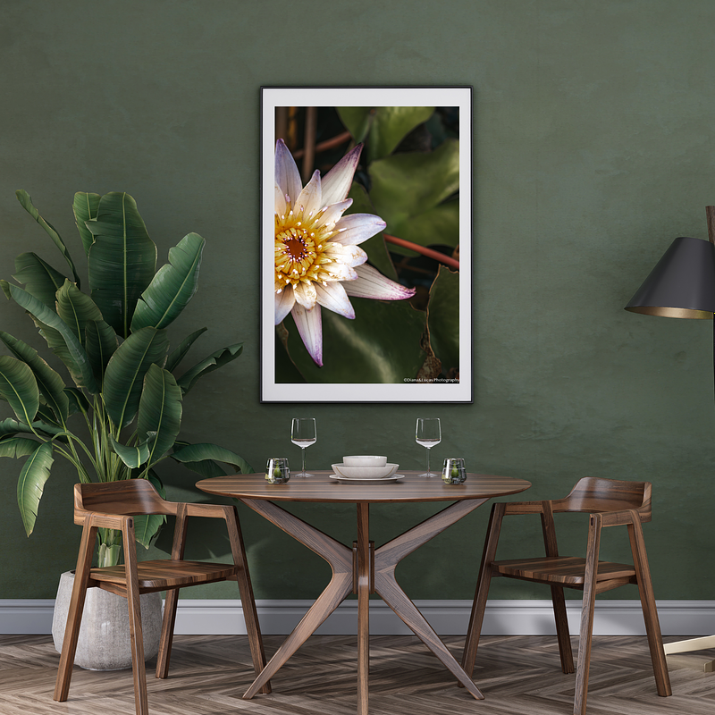 THE ONE - WILDLIFE & NATURE - "From Side" - LIMITED EDITION 5 of 5