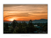 THE ONE - WILDLIFE & NATURE - "Orange Hour" - LIMITED EDITION 5 of 5