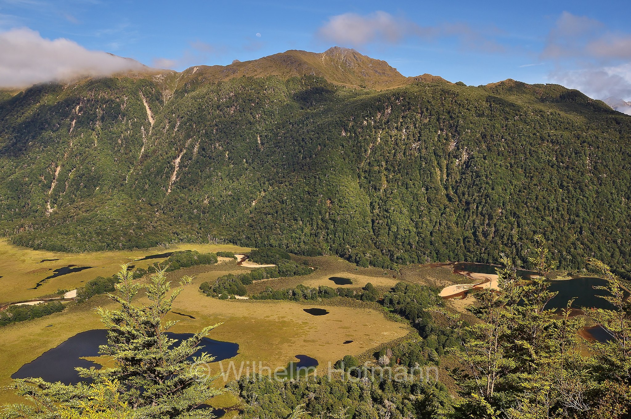Grebe Valley, Fiordland National Park, Fiordland-Nationalpark, Parco nazionale del Fiordland, South Island, Südinsel, Isola del Sud, New Zealand, Neuseeland, Nuova Zelanda