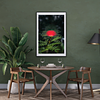 THE ONE - WILDLIFE & NATURE - "Vertical Puff" - LIMITED EDITION 5 of 5