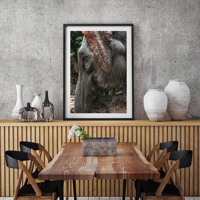 COLLECTION - GIANTS OF THE LAND VERTICAL - "Spotted" - LIMITED EDITION 10 of 10