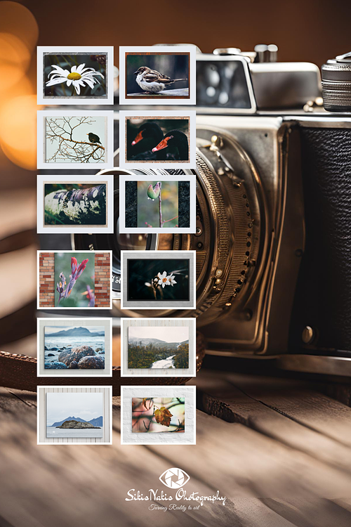 Purchase a Print Of My Photography