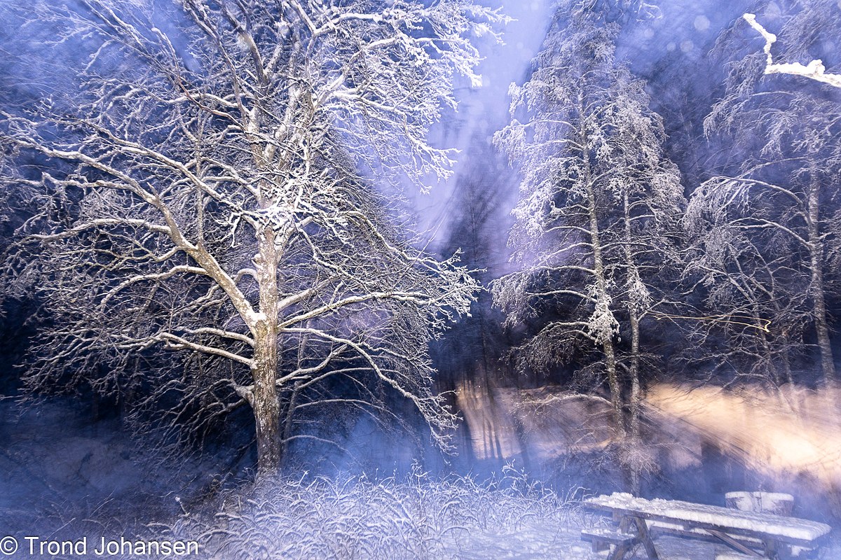 Vinterstemning ved &Oslash;rretdammen i lysl&oslash;ypa i Sarpsborg fotografert av Trond Johansen