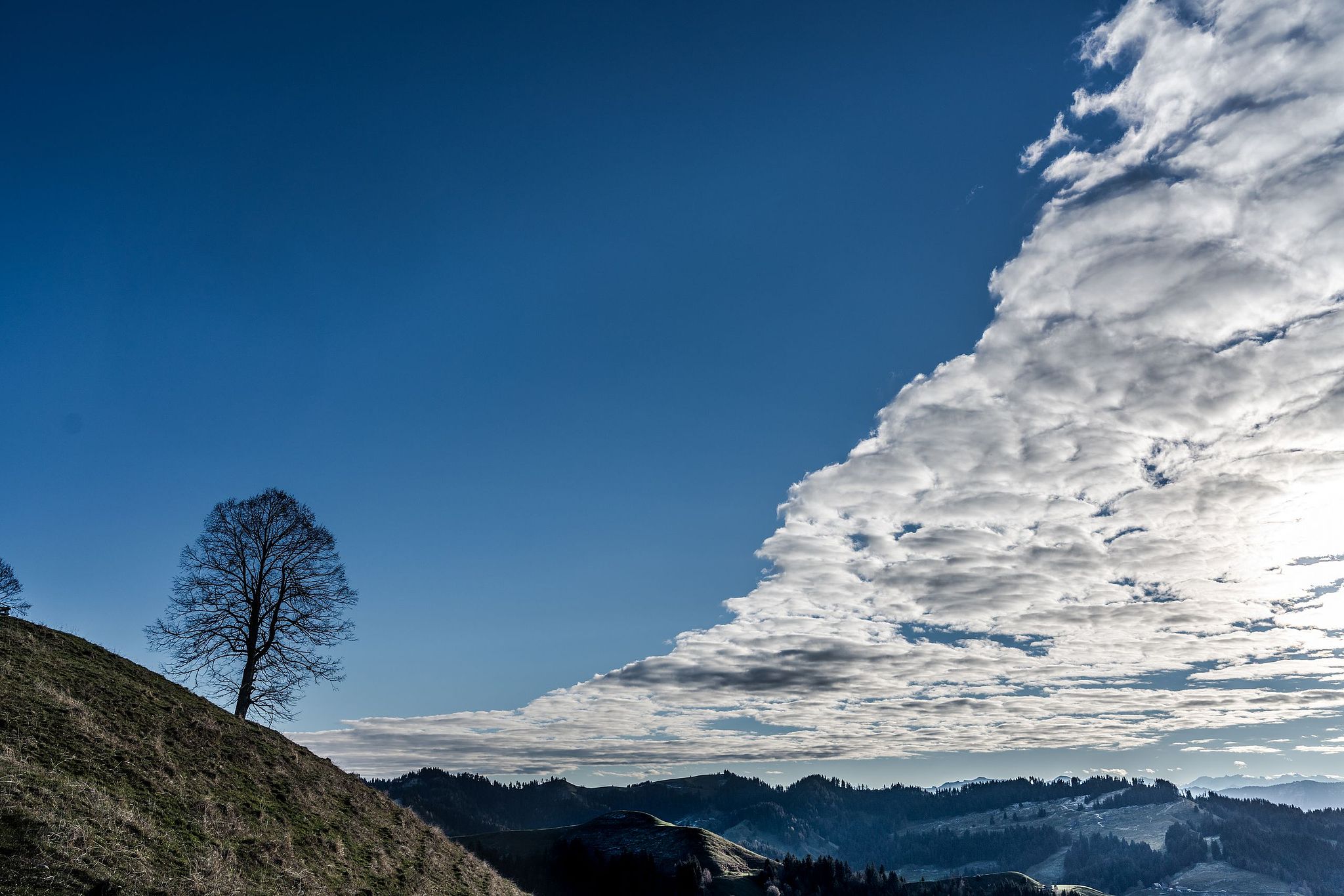 Blick vom Wachthubel