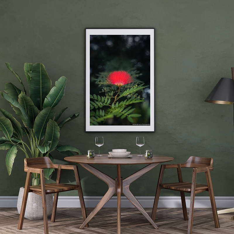 THE ONE - WILDLIFE & NATURE - "Vertical Puff" - LIMITED EDITION 5 of 5
