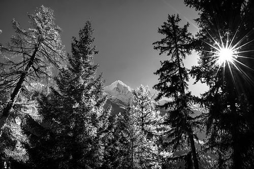 Im Lötschental