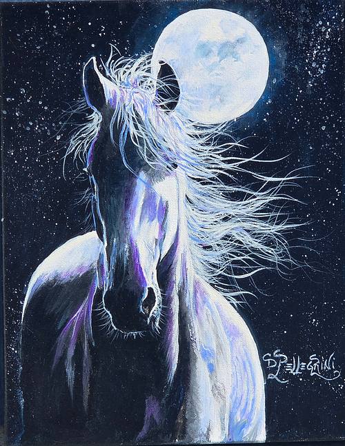 Moonshadow