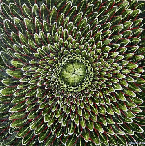 Fractals