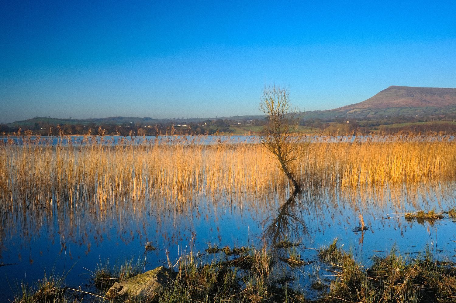 Maurizio Rocco Photography