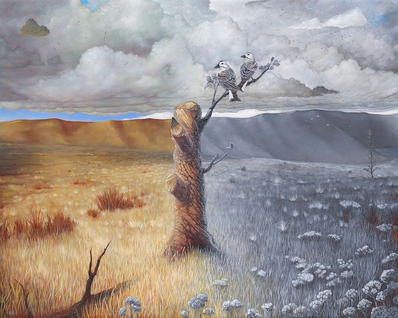 Gallery 1 - Latest Work