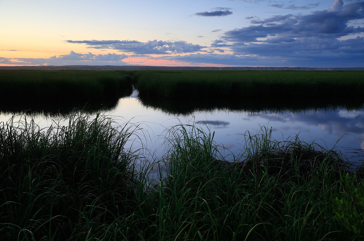 Alison Perry Photography