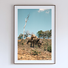 COLLECTION - GIANTS OF THE LAND VERTICAL - "Buffalo Sky" - LIMITED EDITION 10 of 10