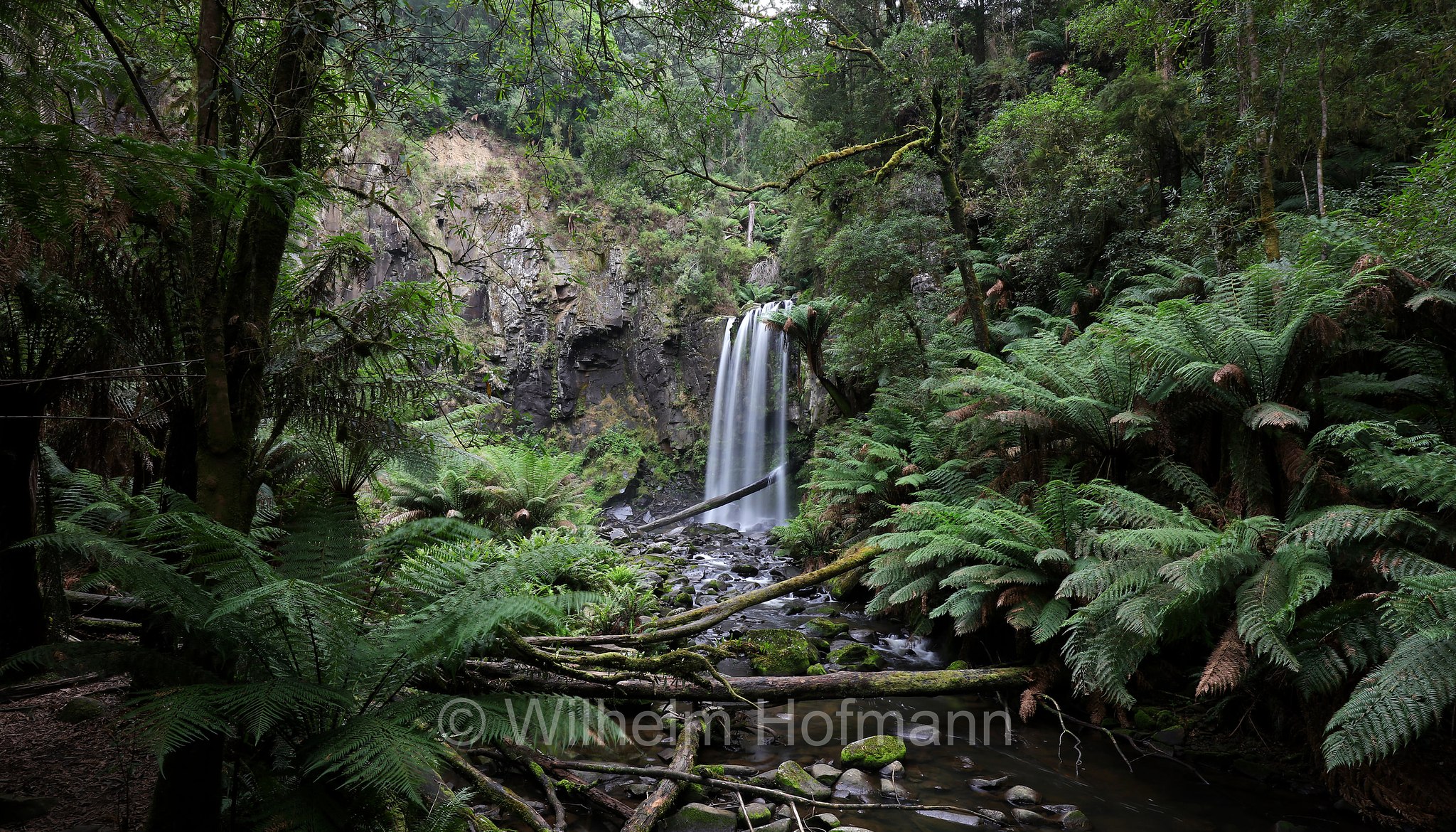 Hopetoun Falls, Great Otway National Park, Great-Otway-Nationalpark, parco nazionale Great Otway, Victoria, Australia, Australien