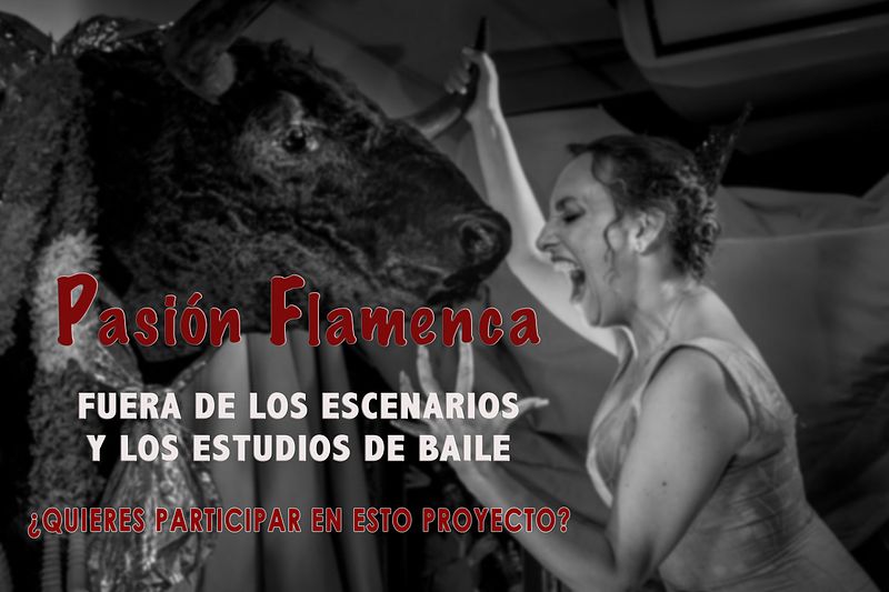 Pasión Flamenca en la vida cotidiana