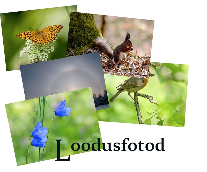 LOODUSFOTOD