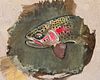 Swirls of Color- Rainbow Trout
