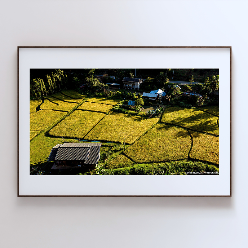 THE ONE - AERIAL PRINTS - "Ready to Harvest" - LIMITED EDITION 5 of 5
