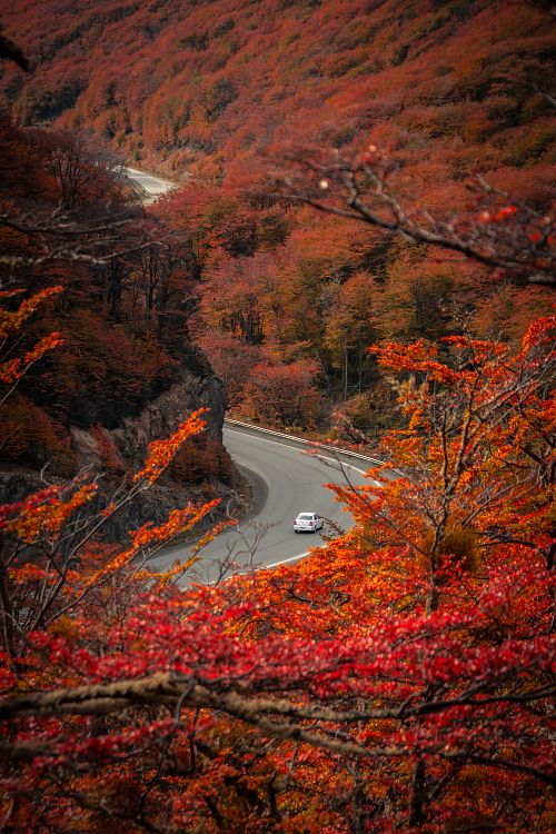 Otoño Ushuaia