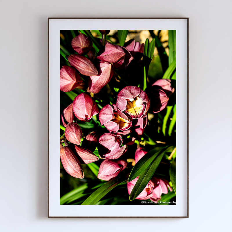 THE ONE - WILDLIFE & NATURE - "Crowded Beauty" - LIMITED EDITION 5 of 5