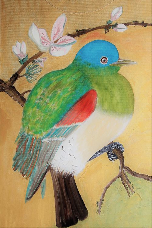 Emperor's Dove
