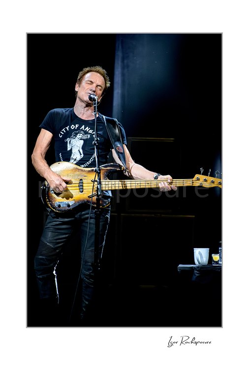 Vertical color image of Sting performing live on stage with a bass guitar, black T-shirt, microphone stand, and dark blue stage lighting
