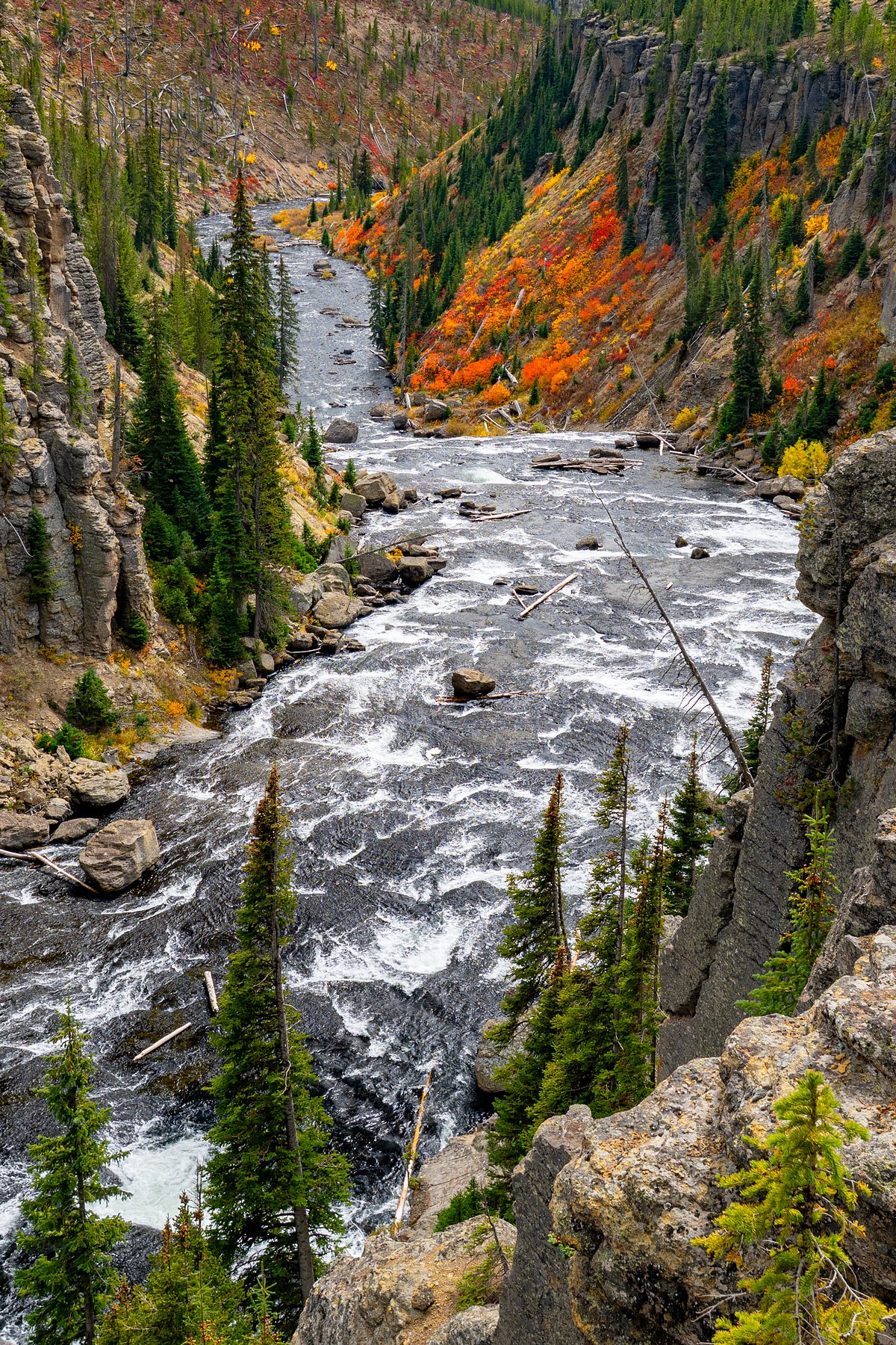 Lewis-River-Rapids