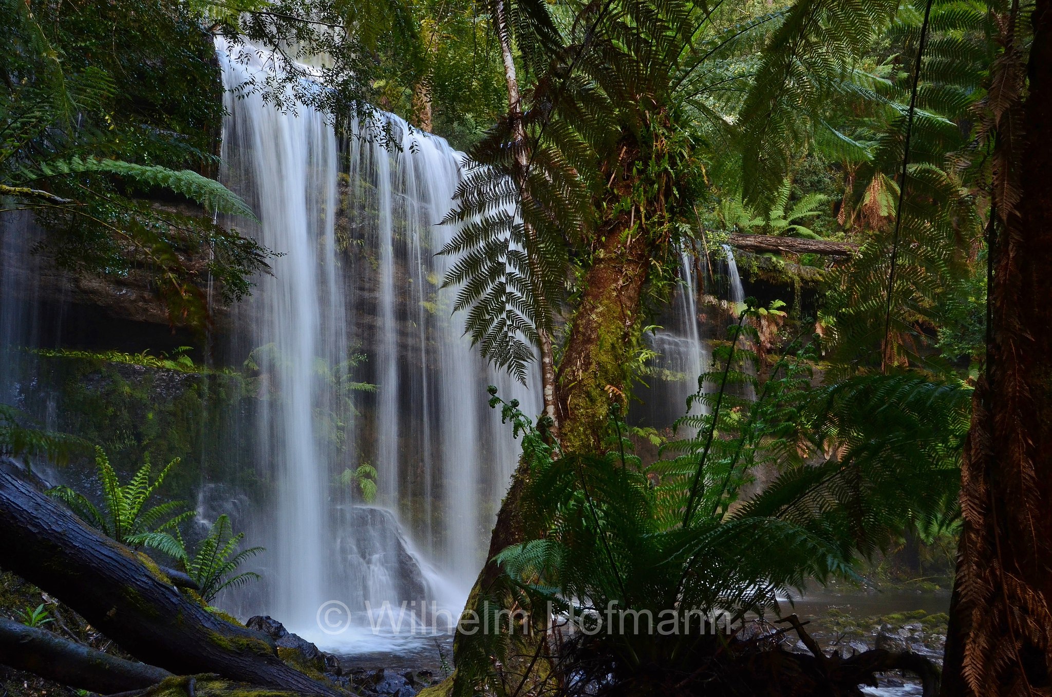 Russell Falls, Mount Field National Park, Mount-Field-Nationalpark, parco nazionale Mount Field, Tasmania, Tasmanien, Australia, Australien