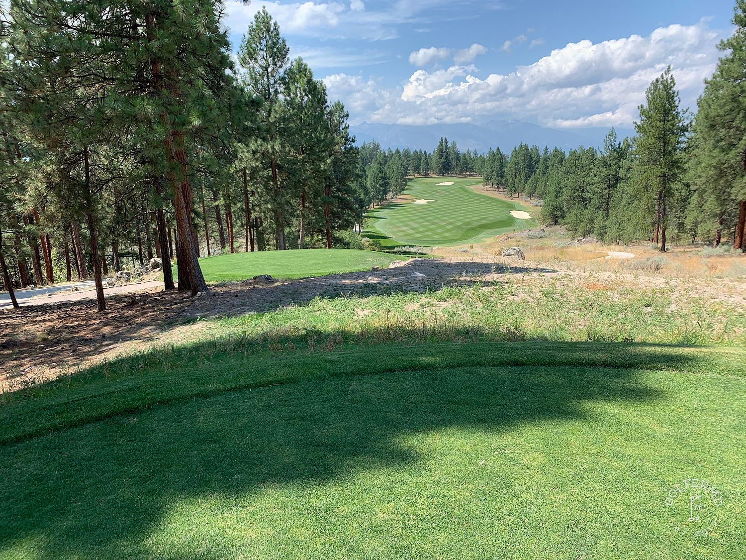 GolferMD.com